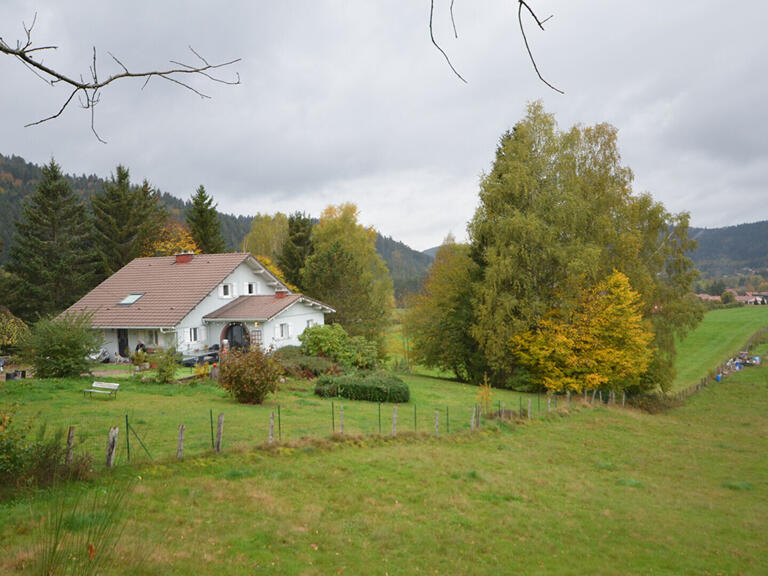 Vente Maison Gérardmer - 6 chambres