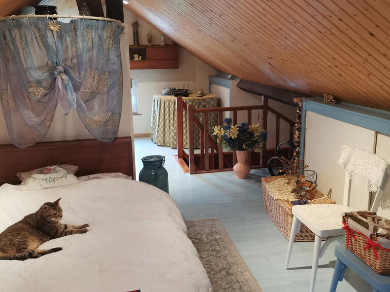 Maison Gérardmer - 5 chambres - 200m²