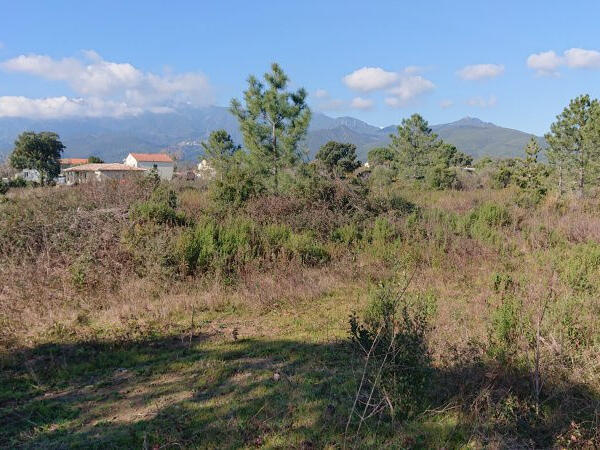 Vente Terrain Ghisonaccia - 4 chambres