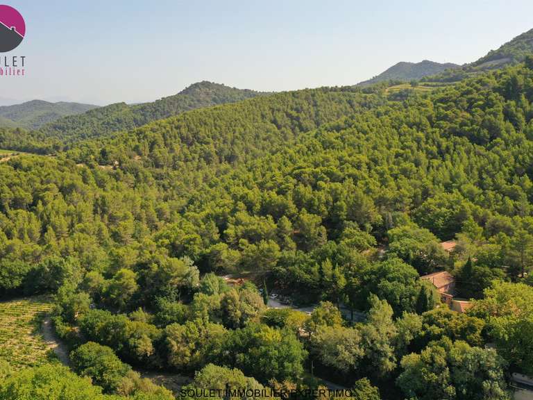 House Gigondas - 18 bedrooms - 800m²