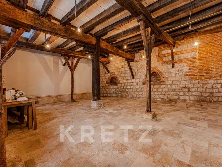 Maison Gimont - 4 chambres - 420m²