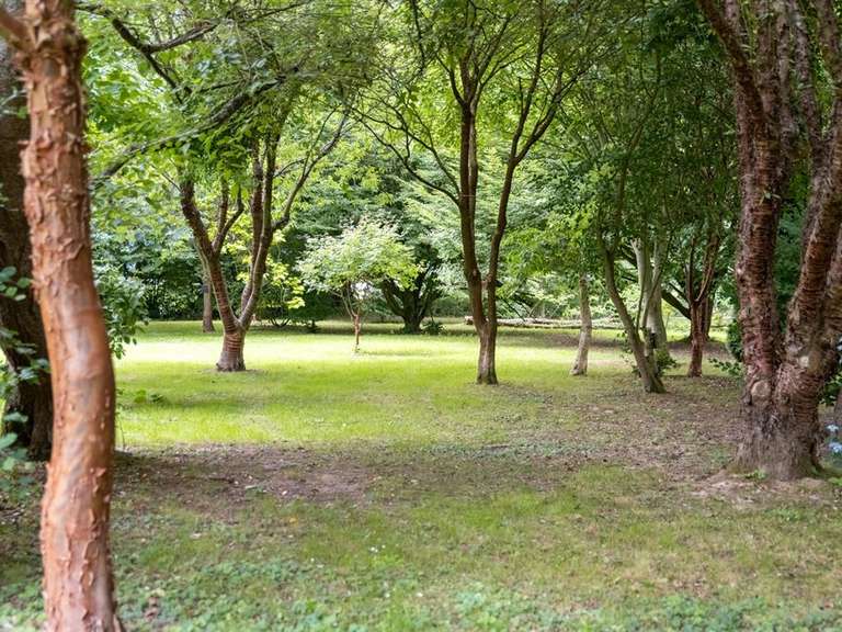 Maison Gonneville-sur-Scie - 7 chambres - 374m²