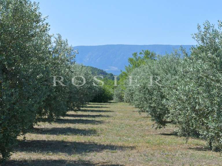House Gordes - 8 bedrooms - 600m²