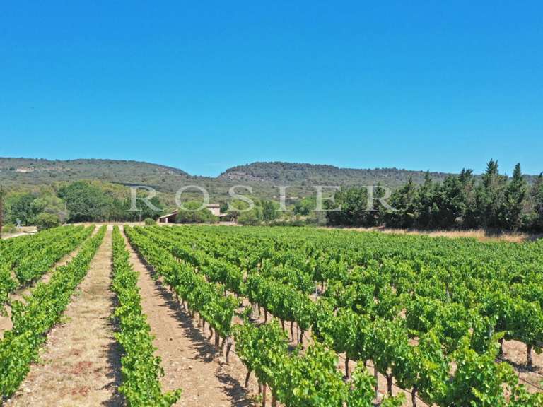 House Gordes - 7 bedrooms - 500m²