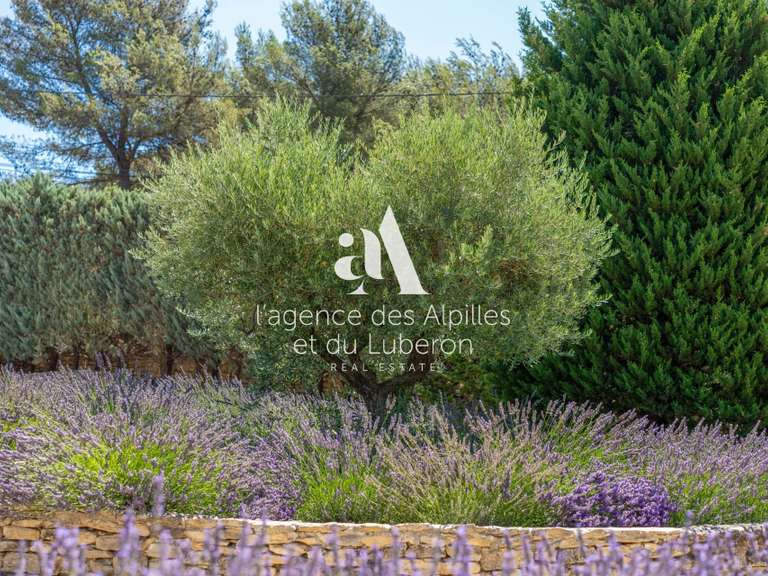 Maison Gordes - 5 chambres - 220m²