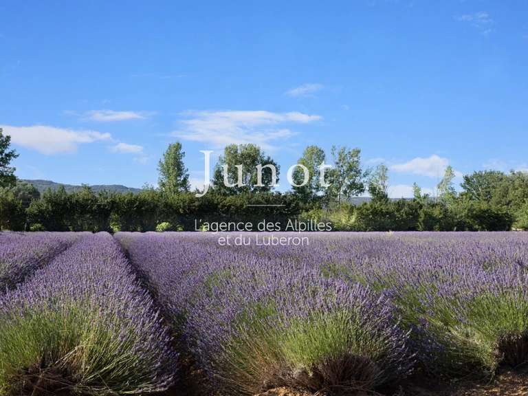 Maison Gordes - 11 chambres - 5500m²