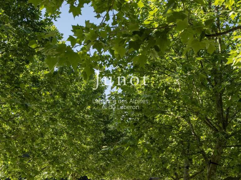 Maison Gordes - 11 chambres - 5500m²