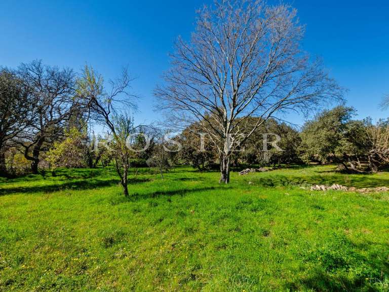 Villa Gordes - 5 chambres - 182m²