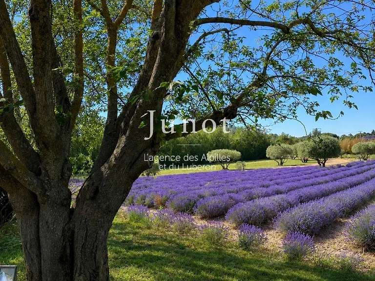House Goult - 7 bedrooms - 550m²