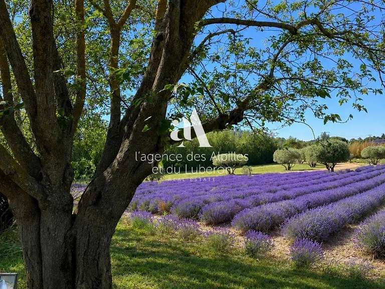 Maison Goult - 7 chambres - 550m²