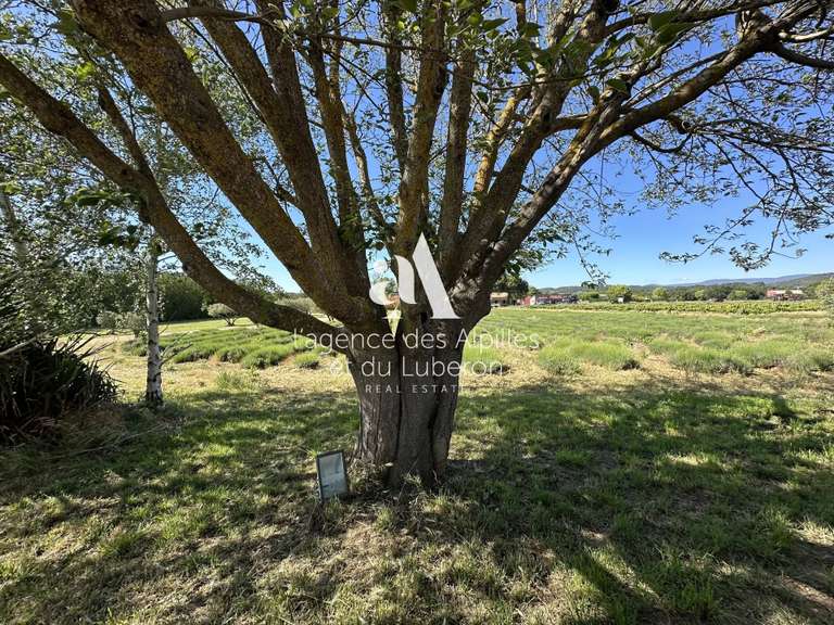 Maison Goult - 7 chambres - 550m²