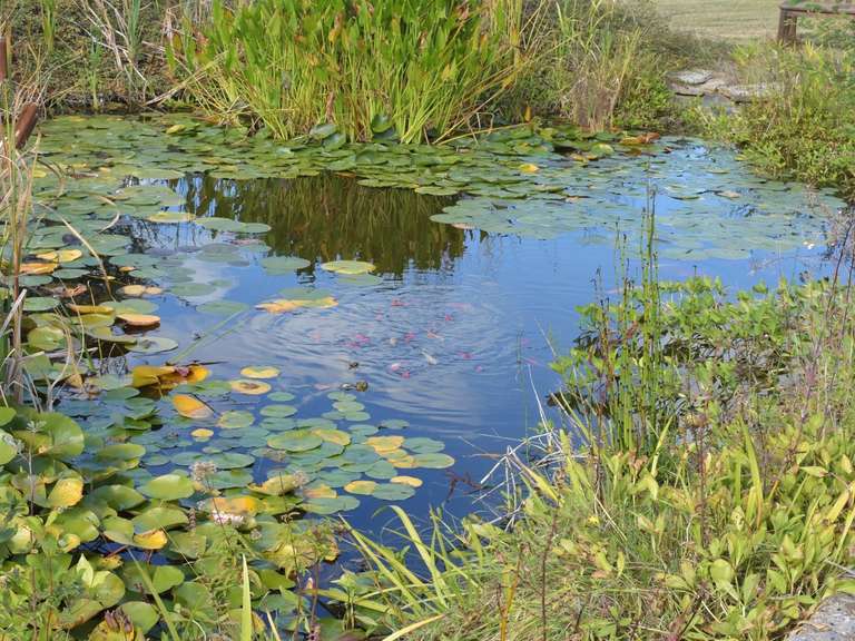Propriété Gourdon - 6 chambres - 200m²