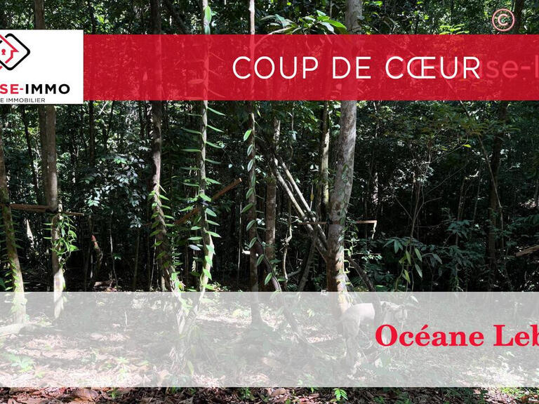Villa Goyave - 6 chambres - 320m²
