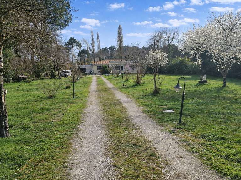 Maison Gradignan - 4 chambres - 200m²