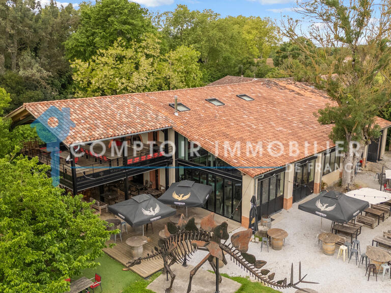 Maison Gragnague - 9 chambres - 800m²