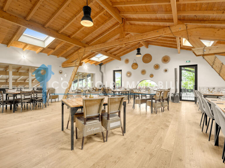 Maison Gragnague - 9 chambres - 800m²