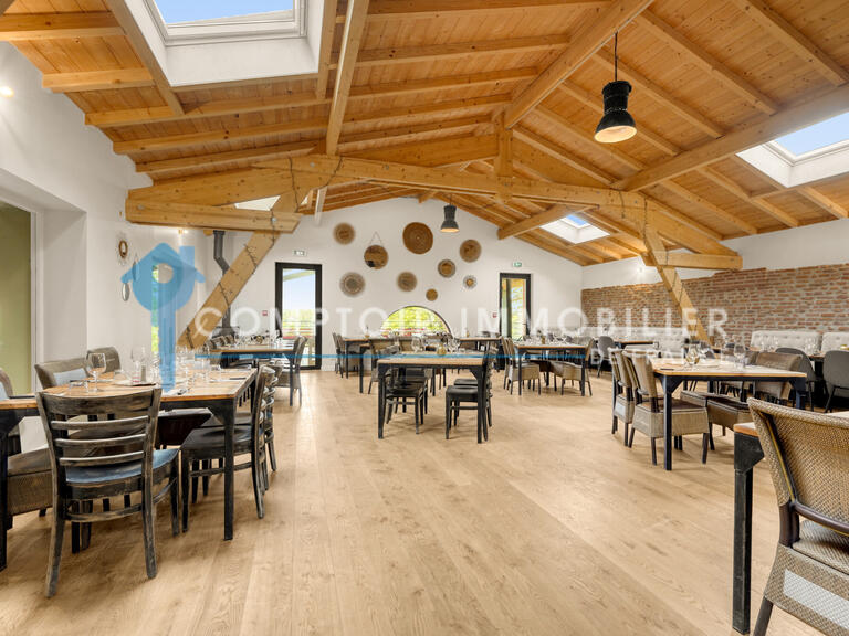 Maison Gragnague - 9 chambres - 800m²