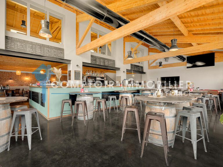Maison Gragnague - 9 chambres - 800m²