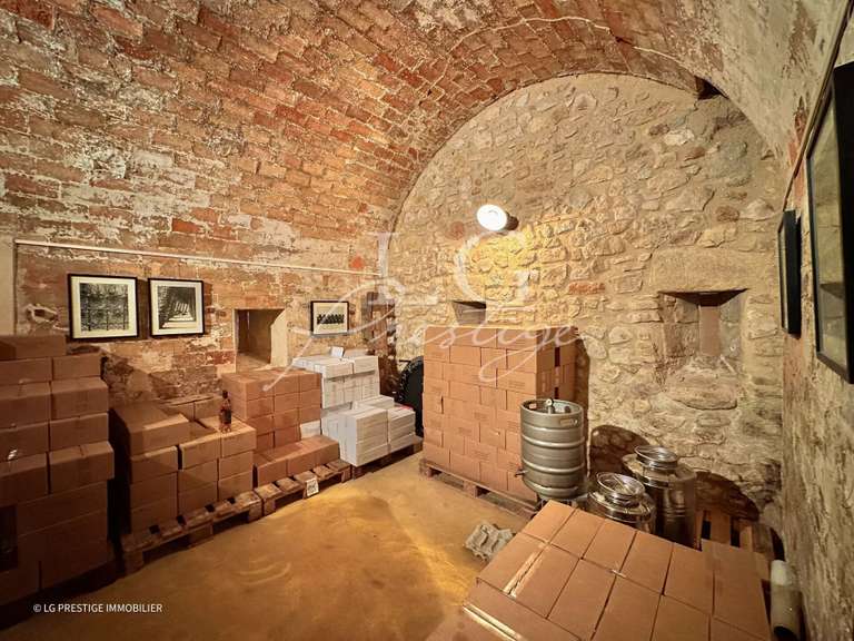 Domaine viticole Grambois - 4 chambres - 350m²