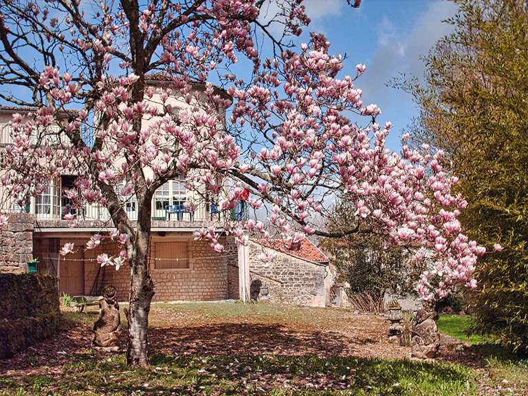 Maison Grandjean - 4 chambres - 298m²