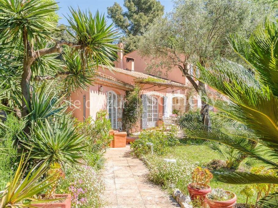 House Grasse