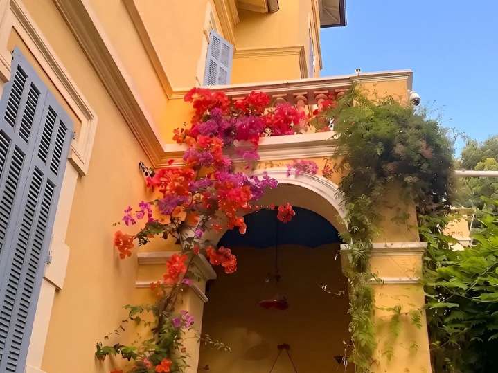 House Grasse - 5 bedrooms - 217m²
