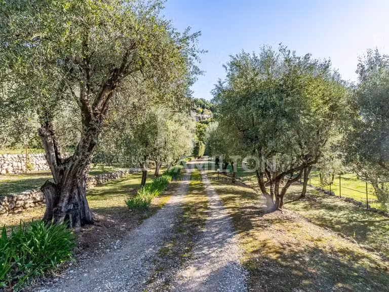 Maison Grasse - 3 chambres - 310m²