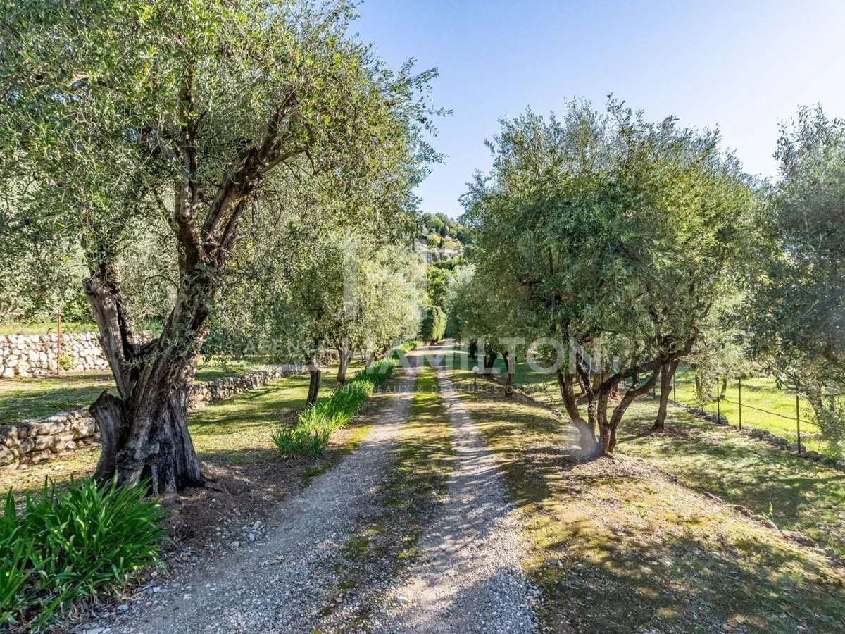 House Grasse