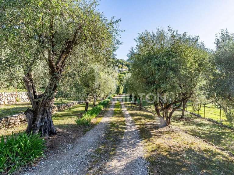 House Grasse - 3 bedrooms - 310m²