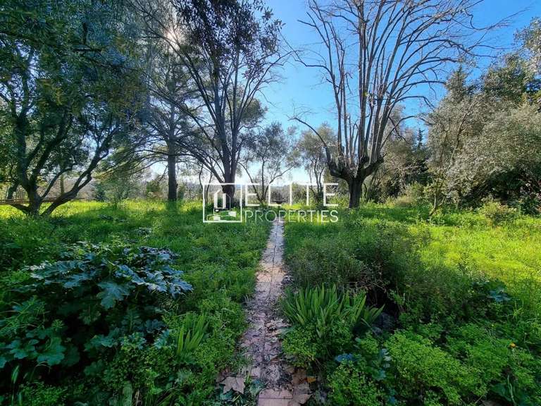 Terrain Grasse - 16000m²