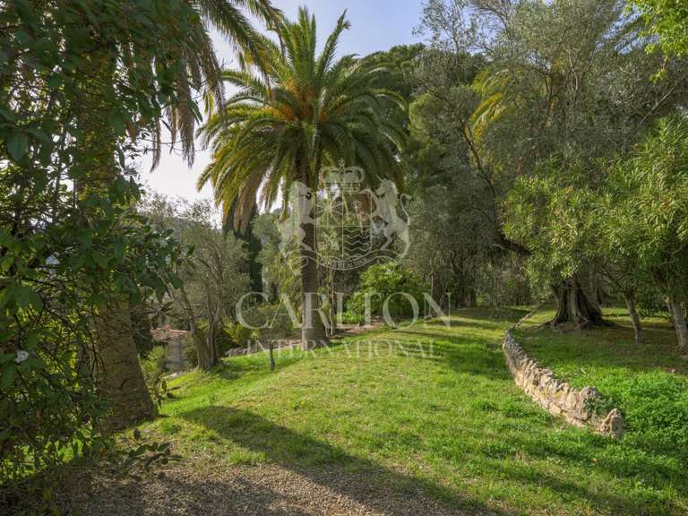 Villa Grasse - 7 bedrooms - 550m²