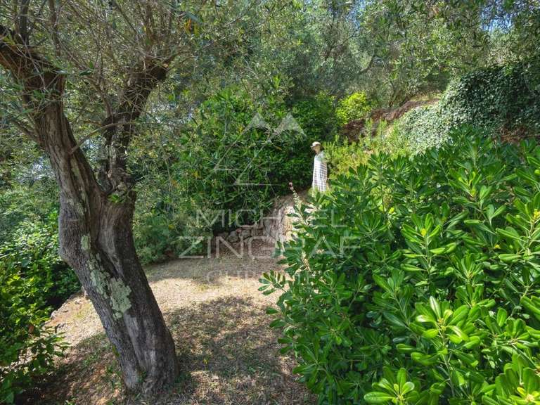 Villa Grasse - 4 chambres - 303m²