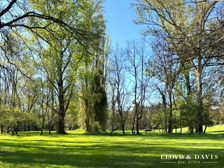 Maison Graulhet - 5 chambres - 395m²