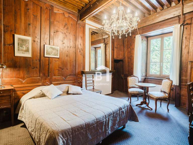 Château Grenoble - 23 chambres - 1100m²