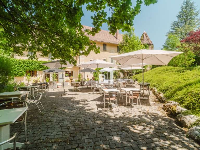 Château Grenoble - 23 chambres - 1100m²