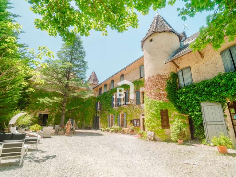 Château Grenoble - 23 chambres - 1100m²