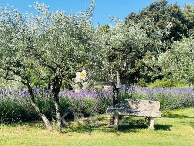 Maison Grignan - 575m²