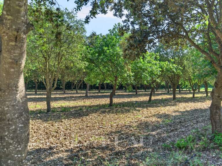 Maison Grignan - 7 chambres - 680m²
