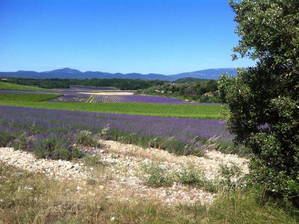 Property Grignan