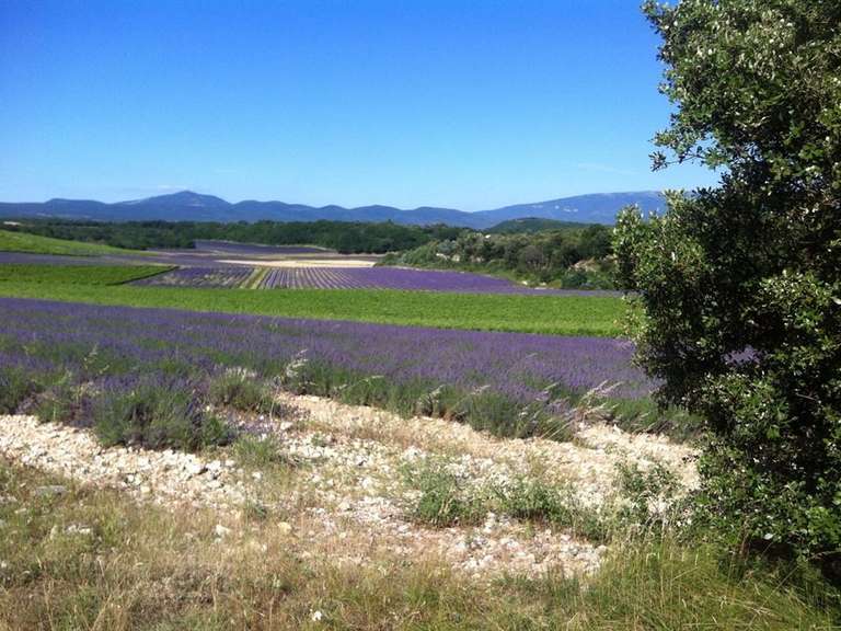 Property Grignan - 925m²