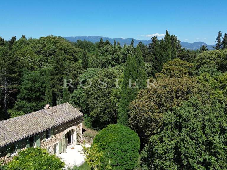 Villa Grillon - 2 chambres - 206m²