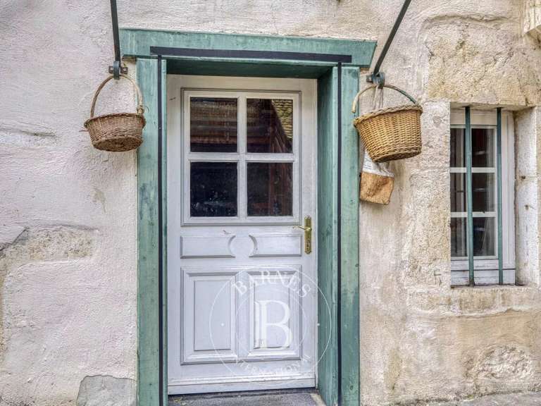 Château Grilly - 9 chambres - 804m²