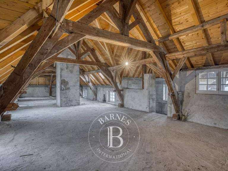 Château Grilly - 9 chambres - 804m²