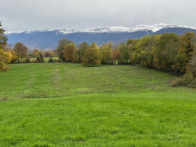 Vente Maison Grilly