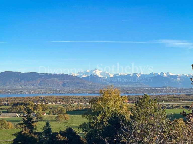 Maison Grilly - 5 chambres - 239m²