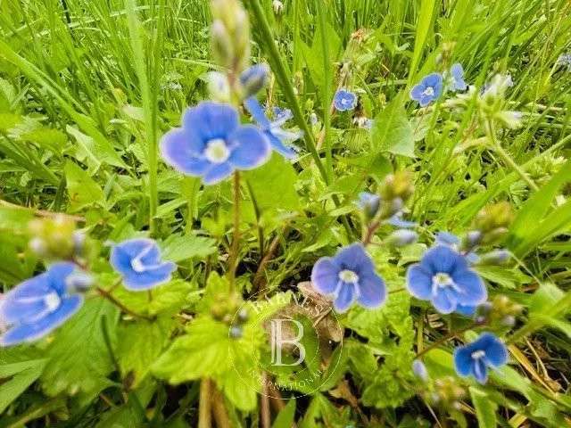 Terrain Grilly - 1250m²