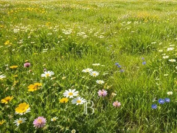 Terrain Grilly - 1200m²