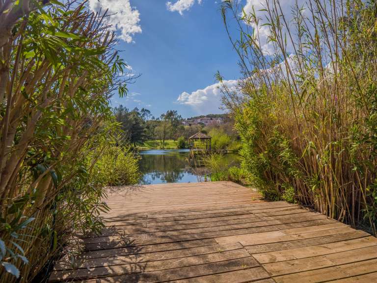 Maison Grimaud - 4 chambres - 110m²