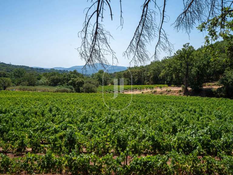 Propriété Grimaud - 8 chambres - 332m²