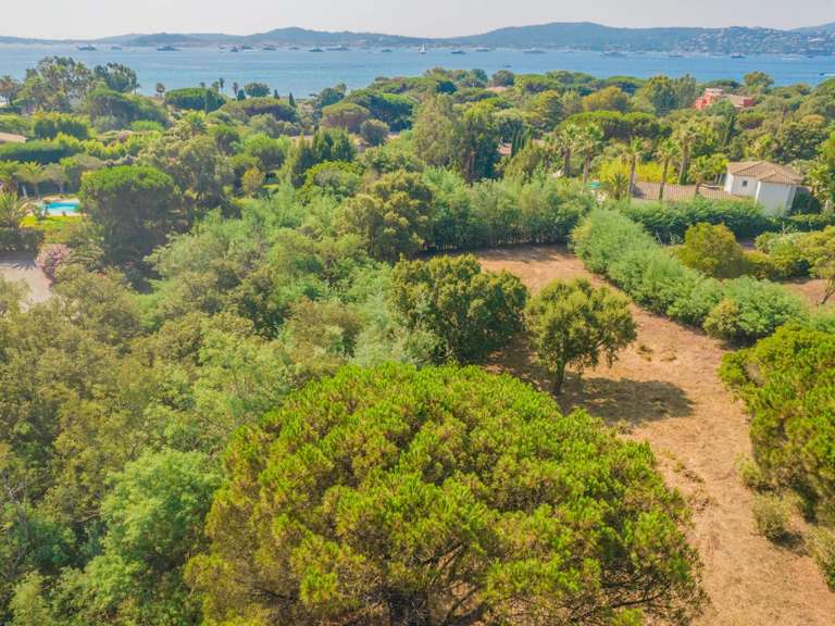 Land Grimaud - 2894m²